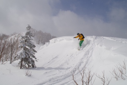 Reisverslag: snowboarden in Japanse poedersneeuw