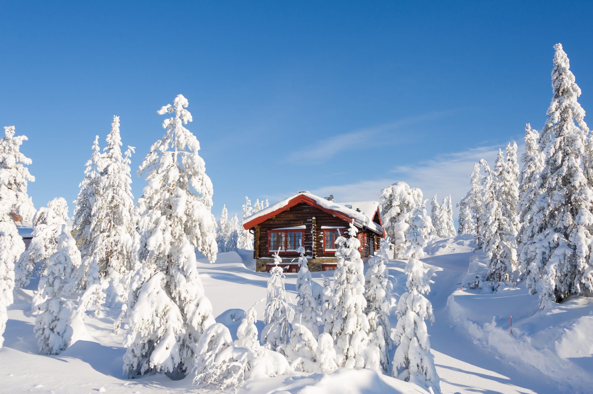 Wintersporters boeken vaker skireis naar Scandinavië waar minder coronaregels zijn