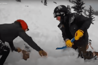 Door sneeuw begraven hond wordt gered na lawine, actie vastgelegd op camera
