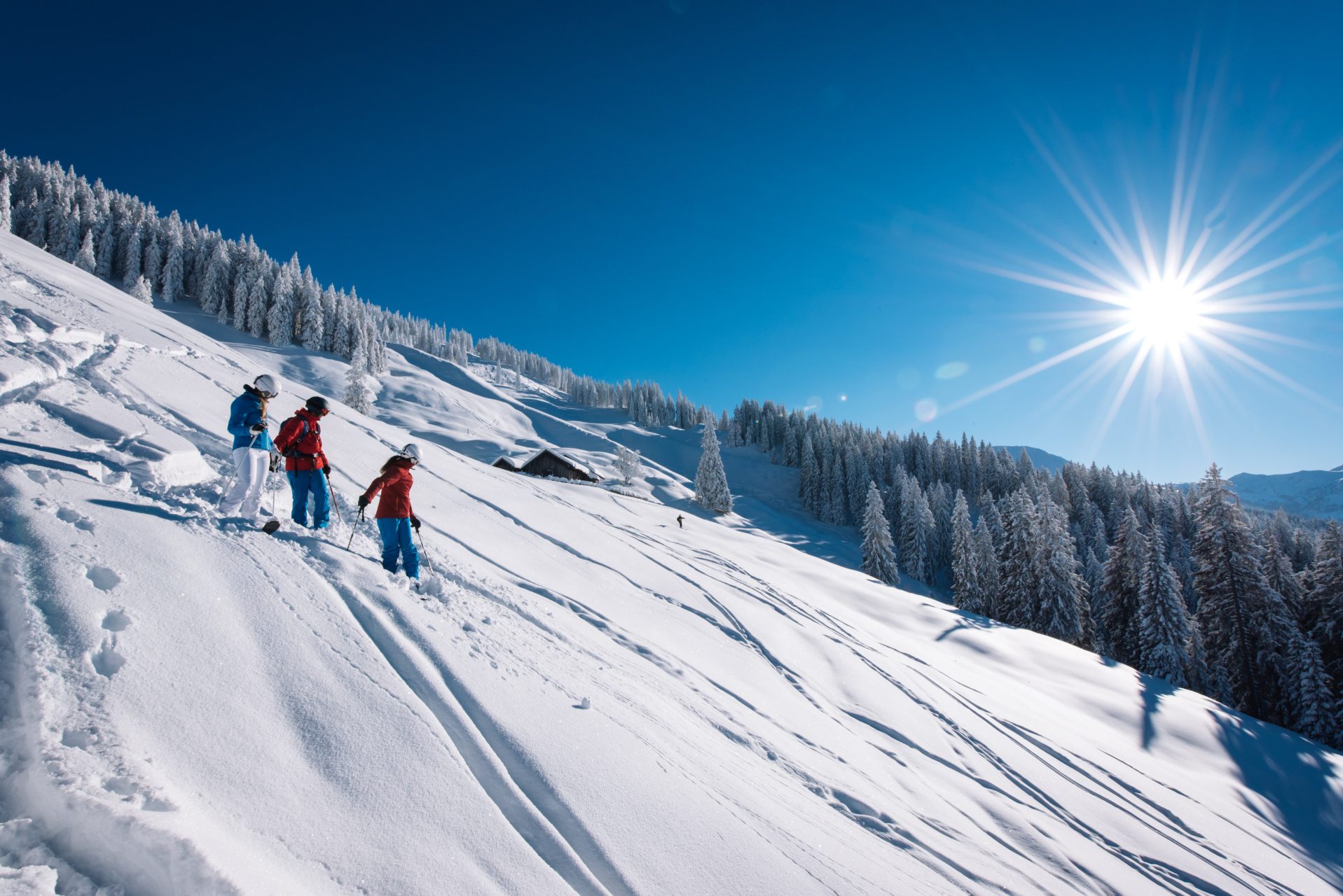 Ultiem freeriden en freestylen? Kies voor Ski amadé in Oostenrijk!