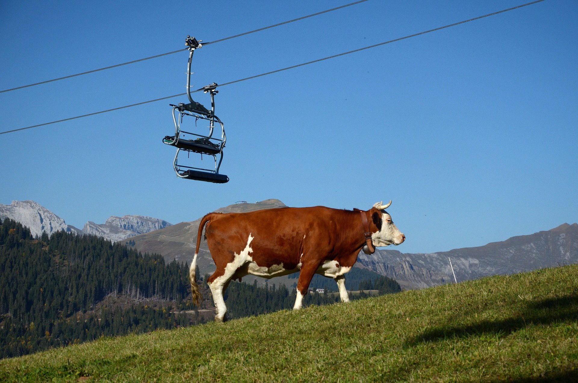 Geen sneeuwkanonnen meer in Franse Drôme. 'De natuur bepaalt.'