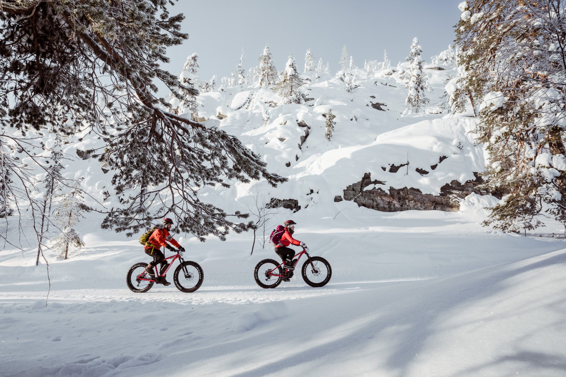 Combineer wintersport en wildernis in prachtig Pyhä in Fins Lapland