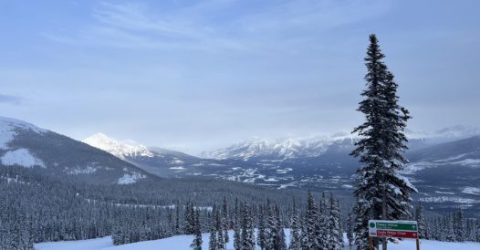 edmonton jasper
